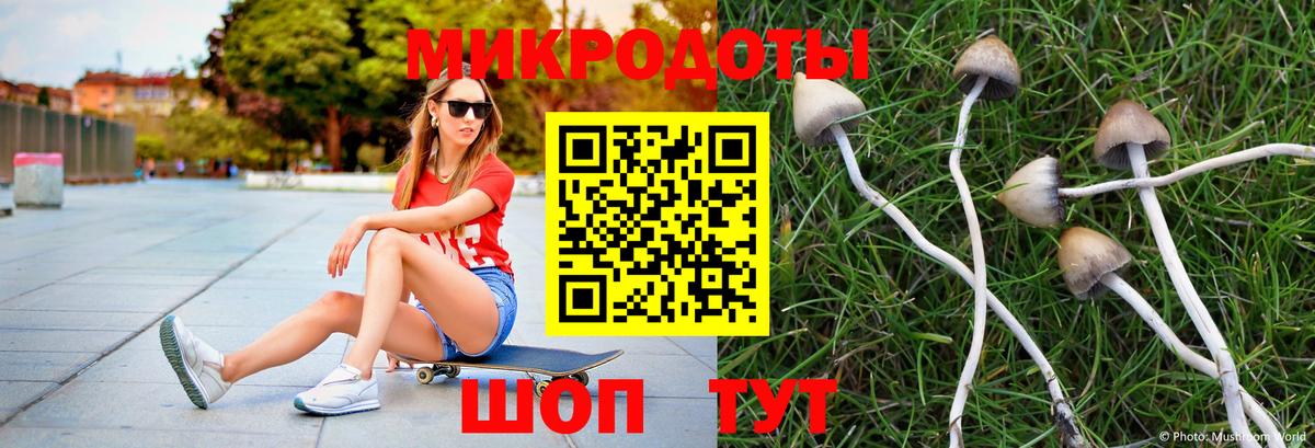 Галлюциногенные грибы GOLDEN TEACHER  Псилоцибиновые грибы Psilocybine cubensis  Вход с VPN  где продают   Назарово 